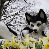 Sheppy (@shishasheppy) 's Twitter Profile