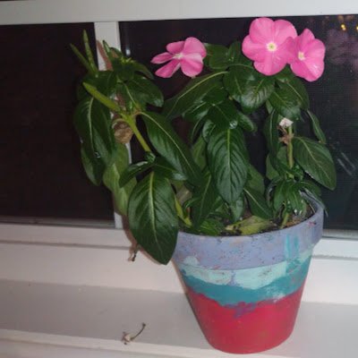 CoxGirlie's profile picture. 