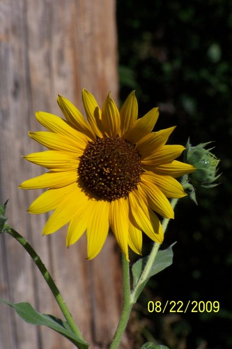 onebadmom's profile picture. NASCAR fan, photographer, love cars, motorcycles, and watercraft, and I am blessed with a great job.