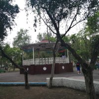 Copaco_torielloguerra (@copaco_toriello) 's Twitter Profile