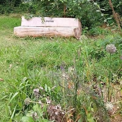 Ireland's first Natural or Woodland Burial Ground opened in 2010 - located in the Co. Wexford. https://t.co/xjwA7Ze79E
