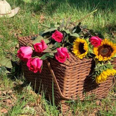 Victori62436231's profile picture. Shaking off inherited lies, returning to the land, remembering my first love, finding ancient paths.