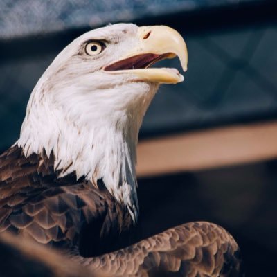 njpratt25's profile picture. 