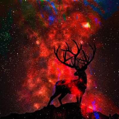 Pazzionartyさんのプロフィール画像