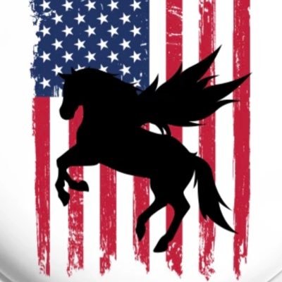 PegasusPatriot's profile picture. Horsepower & Coffee! ♥️ Military & Blue Family, ProLife, 2A & Bacon 💯 Christ first ✝️🇺🇸 🇮🇱 1 Thess 4 🙏🏼 🚫DMs