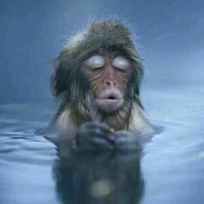 cll486's profile picture. it's just me, checking things out