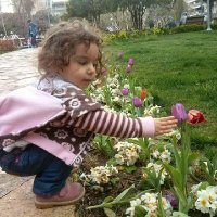 Raşit Ekici TR🇹🇷 (@rasitekiciyim) 's Twitter Profile
