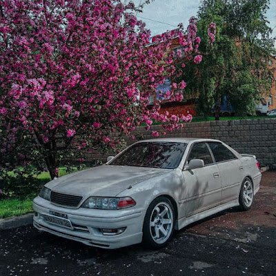 CloudkitC's profile picture. 