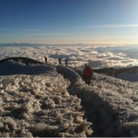 MintyHawk (@minty_hawk) 's Twitter Profile