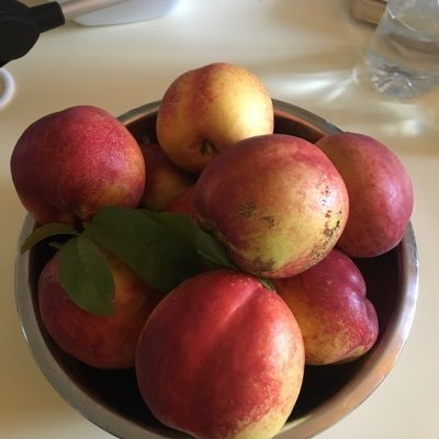 MiriGerme's profile picture. Bookworm, thinker, gardener, observer, meditator