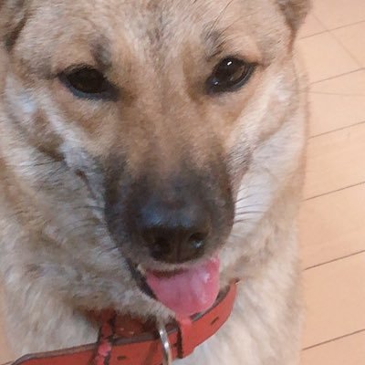 あやKnowさんのプロフィール画像