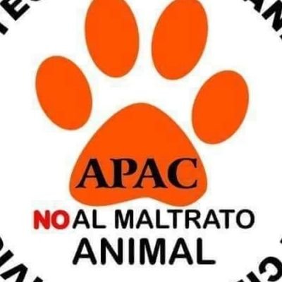 Abogamos por los derechos de los animales en RD