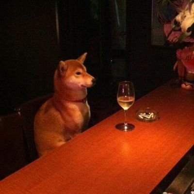 AftermathFury's profile picture. ǝɟᴉl ʎɯ ʍ ʇᴉɥs ƃuᴉop ʇuᴉɐ I