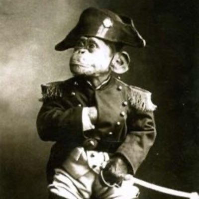 ricksbigburner's profile picture. where da bunda at?? Go Saberzzzzz