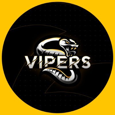 VipersLLC Profile Picture