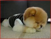 monana553's profile picture. 국내 & 해외 // 북적거리는 도시 & 한적한 곳.........자신만의 Hot Spot 과 소소한 여행 에피소드 멋지구리한 Photo와 HOT한 Music 을 공유하는 공간이예요~★ 함께해요 ^_^