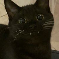 Raz0ir57 (@raz0x57) 's Twitter Profile