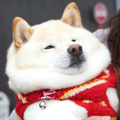 punさんのプロフィール画像