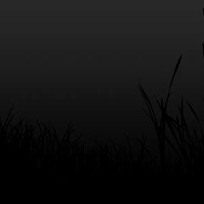 Obi Wan Shinobi Profile