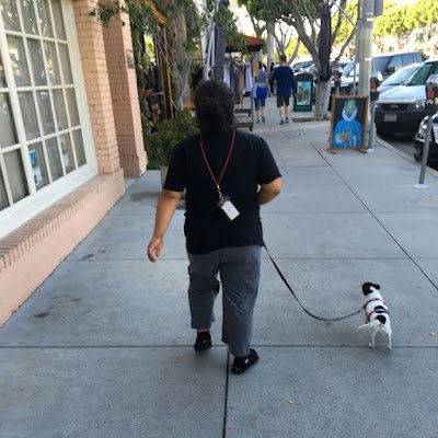 Chronically Ill animal and disability activist, wanting to be a voice actress and rescue doggies from shelters https://t.co/IhnxKVatY0