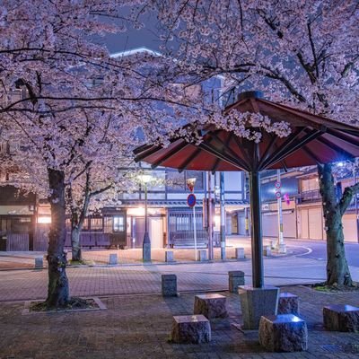 Maryleisihk's profile picture. 坚持信念，相信光明的到來！