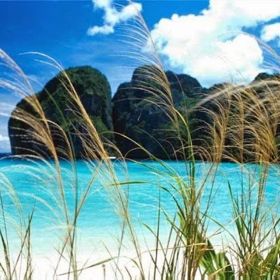 MkInternationa8's profile picture. 