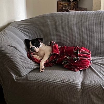 d3vinreyna's profile picture. #sumslight®