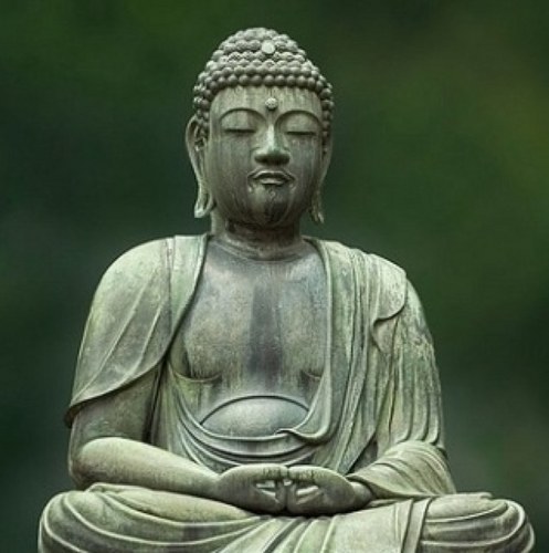 ibpescado's profile picture. 