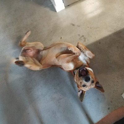 KennethRaphae13's profile picture. I don't dude, I just work here.