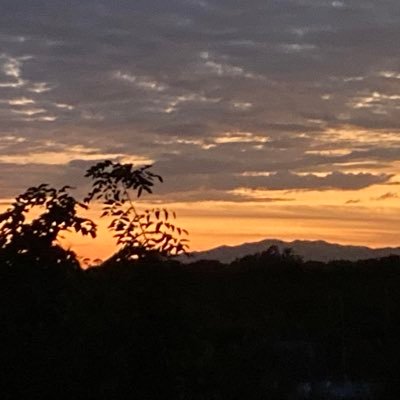 TrishHouston6's profile picture. 🤣🤣🤣 there’a no stoppin’ us now!