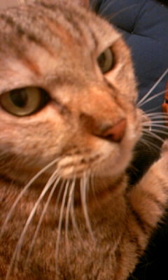 lanuvas's profile picture. ATP中毒。TTV中心に年200～300ぐらい観戦。2014マイアミから錦織くんを追いかけてＷＯＷＯＷ→GAORA→TTVと重課金まっしぐら。 2016は楽天OPフル参加。2017は初MSで上海。2018は初NAF！モットーは、全ての選手に尊敬の念。 推し：フェデラーシモンミュラー錦織フェレール杉田