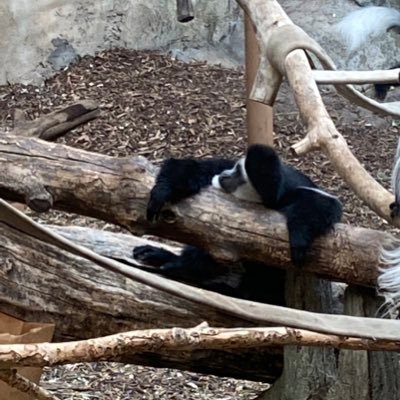 Hutton931's profile picture. 