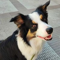 Etiam* (@maite5c) 's Twitter Profile