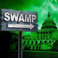 Swamp Kingdom 🐊👑 (@swampkingdom) Twitter profile photo