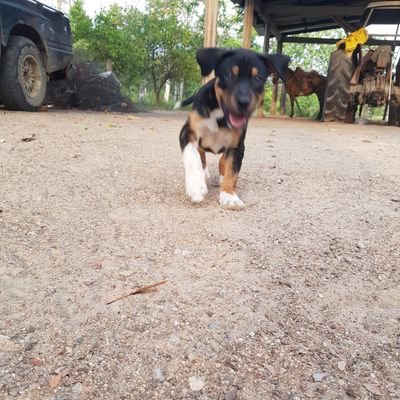 jorge11tapias's profile picture. 