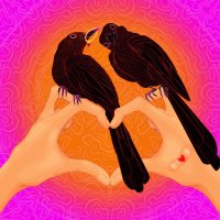 🪴• (@noseraella) 's Twitter Profile