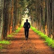 abdullahkul099's profile picture. Sade (ce) bir kul