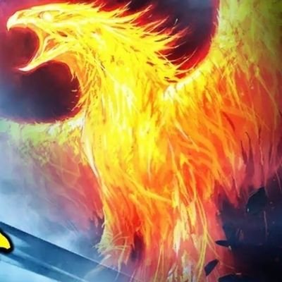 liucg7283's profile picture. 