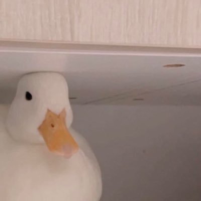 jw3RFDQfKqZrG5Y's profile picture. 