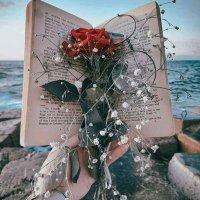 𝓐⚘☁️♥️ (@xtk6g) Twitter profile photo