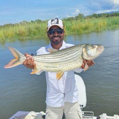 DuwayneGoddard's profile picture. -GM at Zelpac IT
-Marketing Strategist 

'' If you have the choice between being right and being kind, choose being kind''.