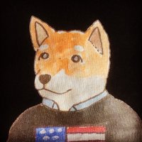 ポール (@shibainupaul) 's Twitter Profile Photo