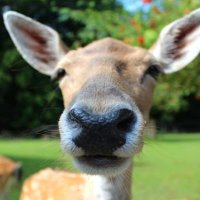 Friends of Clarendon Palace (@clarendonpalace) 's Twitter Profile Photo Friends of Clarendon Palace (@clarendonpalace) 's Twitter Profile Photo