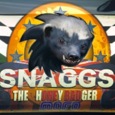 Snaggs (The Honey Badger)さんのプロフィール画像