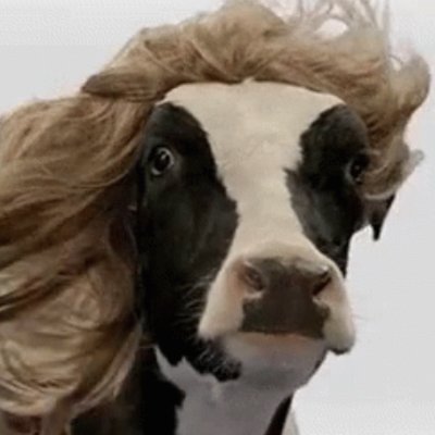 Art Harlot π Profile