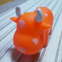 ttAyaF's profile picture. よろしくお願いします♪