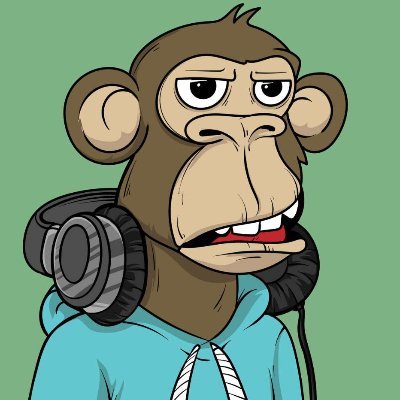 KryptoKodok's profile picture. 