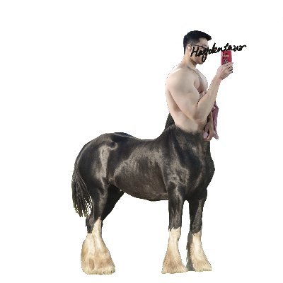 just a centaur 🔞