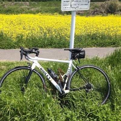 toshioy_xyz's profile picture. スターウォーズ、鹿島アントラーズ、自転車＠リドレーをこよなく愛するスイーツ作りに余念のない定年間際サラリーマンさ。フォロー100％。フォースのご加護があらんことを。無言フォロー失礼します。全国のローディと繋がりたい。RIDLEY、TREK、BH、corratec所有。