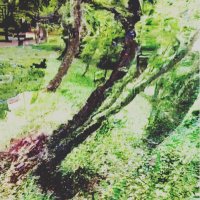 Wavfire (@mki_cello2) 's Twitter Profile Photo